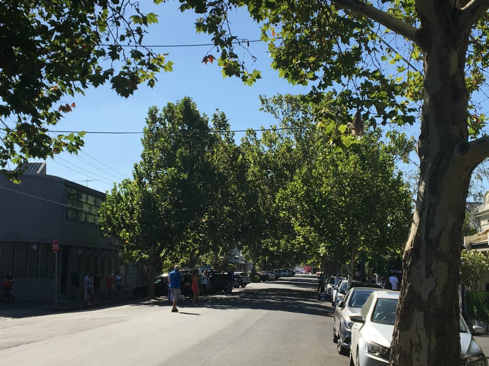 leafy street and sunshine and shade on a lovely Saturday morning