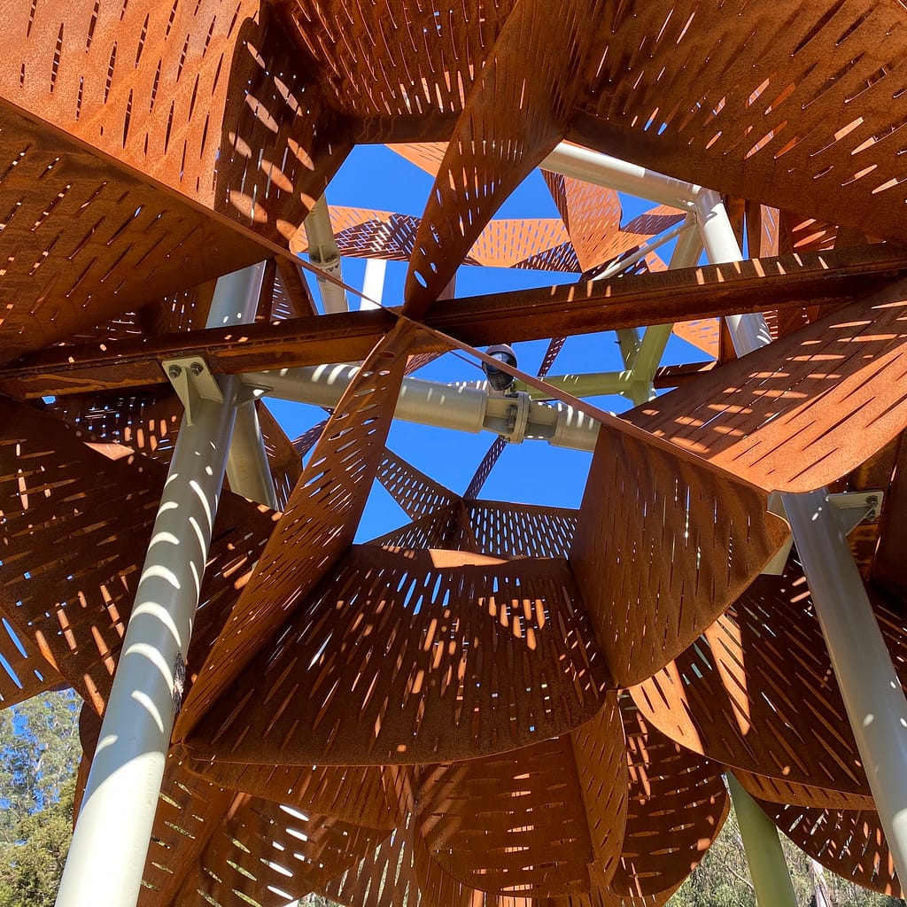 warratah sculpture at chelsea australian garden