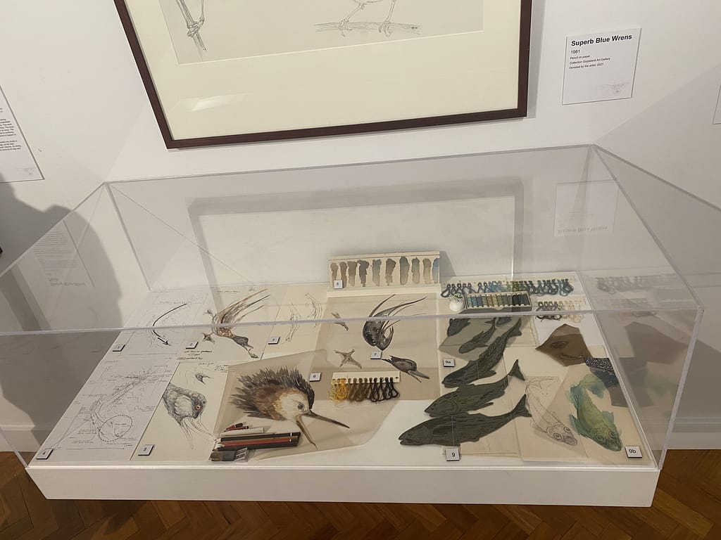 annemieke mein - nature revealed - box containing artefacts used to create the blue billed duck work