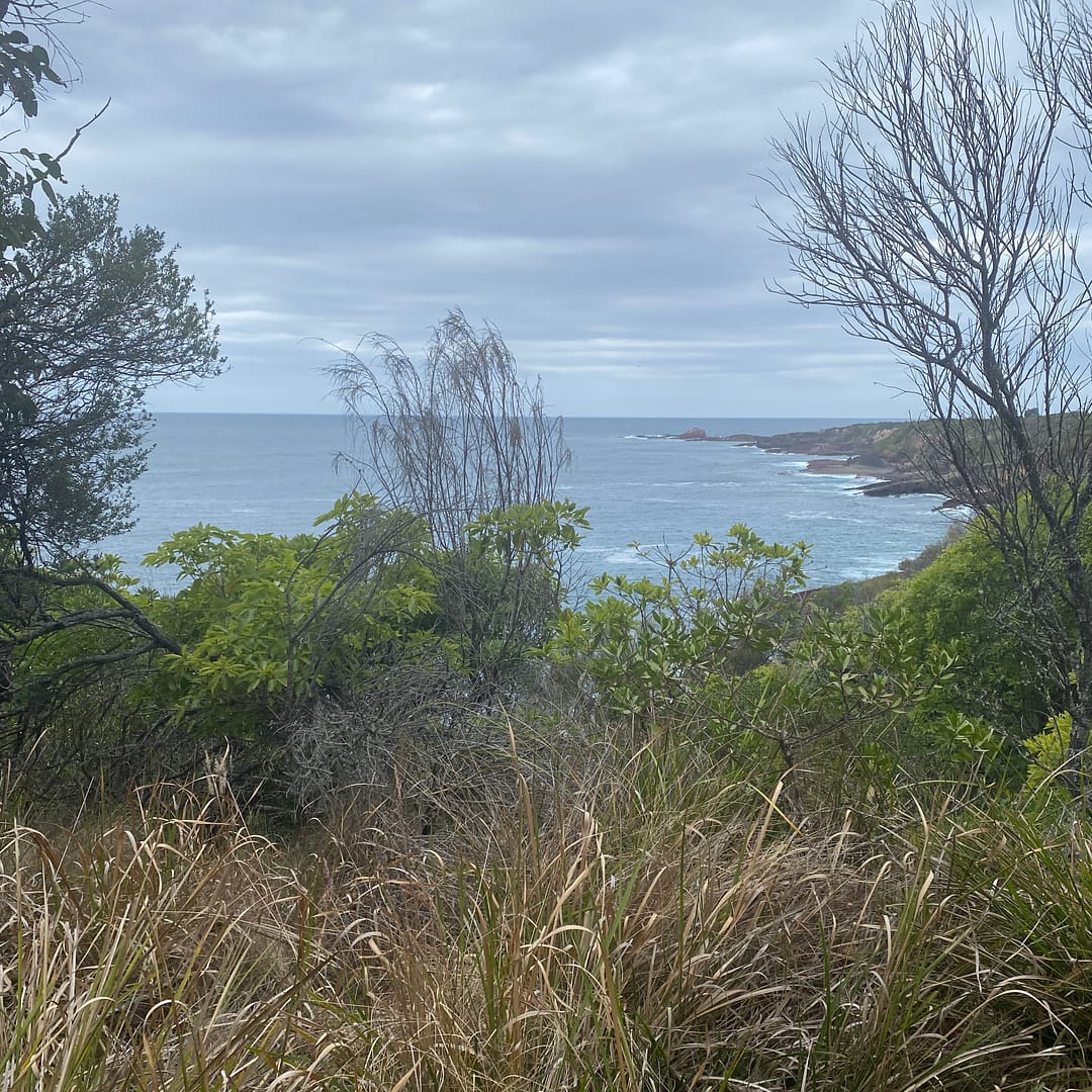 view to Haycocks Point - Beowa National Park