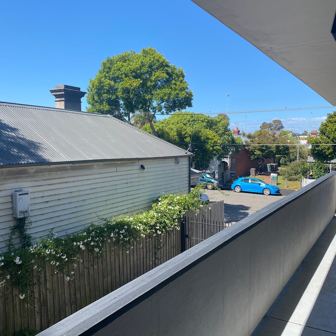 view to the park from my balcony