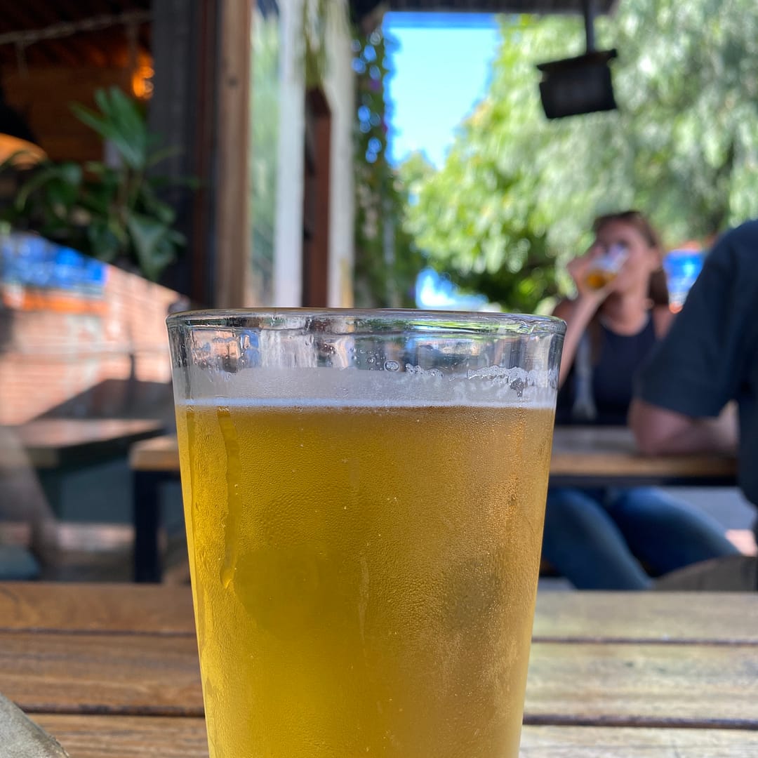 beer at dr morse january 2024