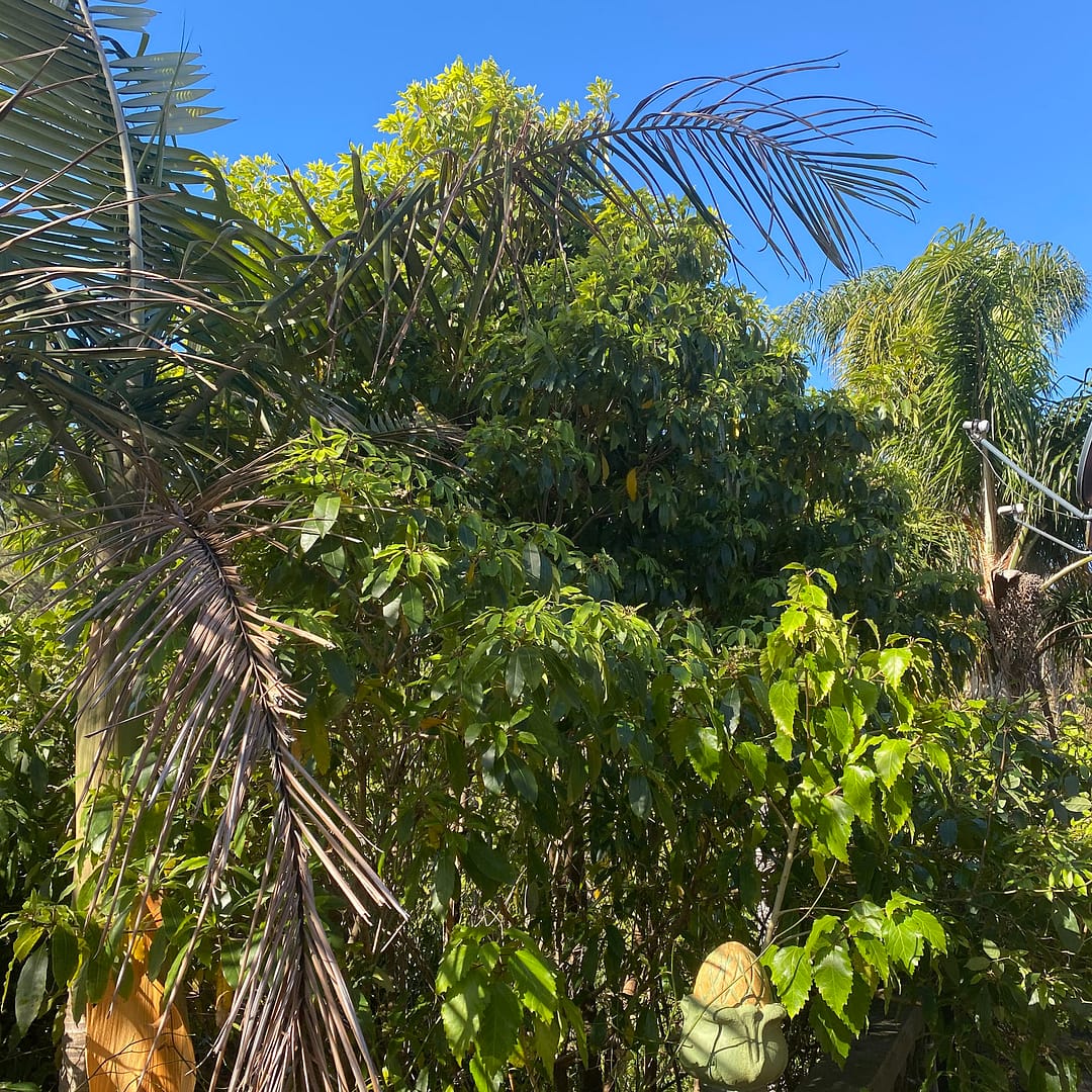 sunshiny day - room with a view