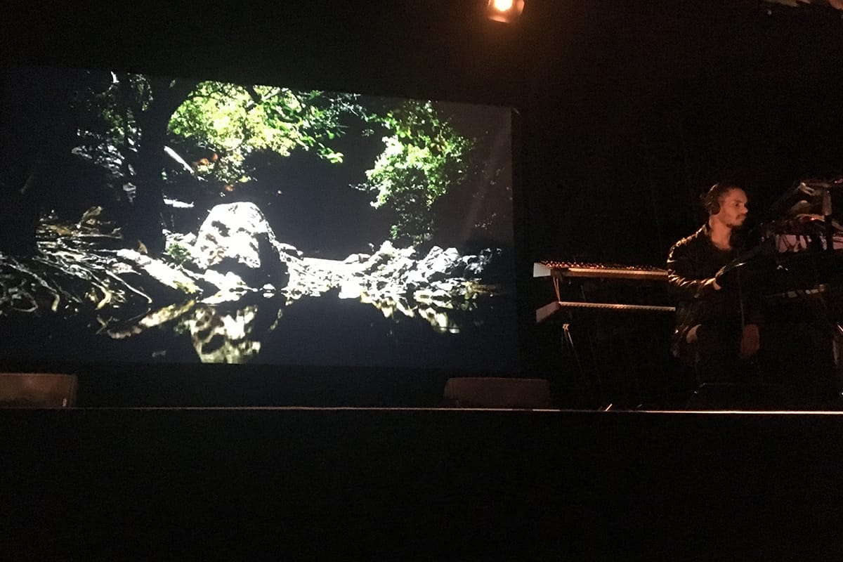 video art and kalaji performing at yirramboi festival