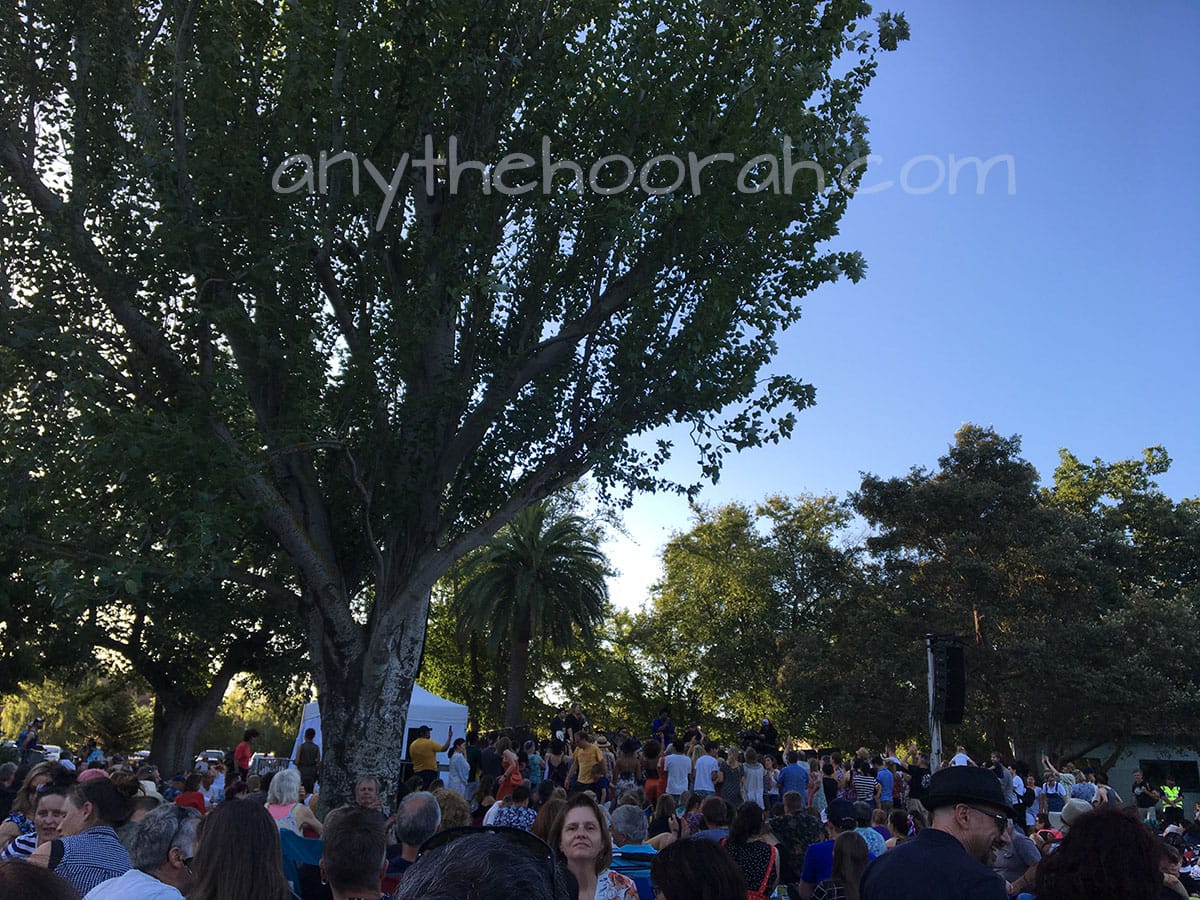 park with peoples and songs in the trees