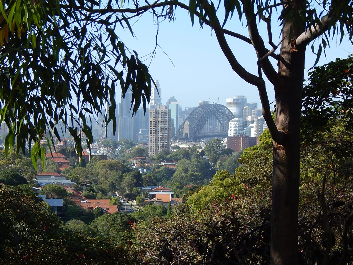 leafy harbour view to sydney from neutral bay 2014