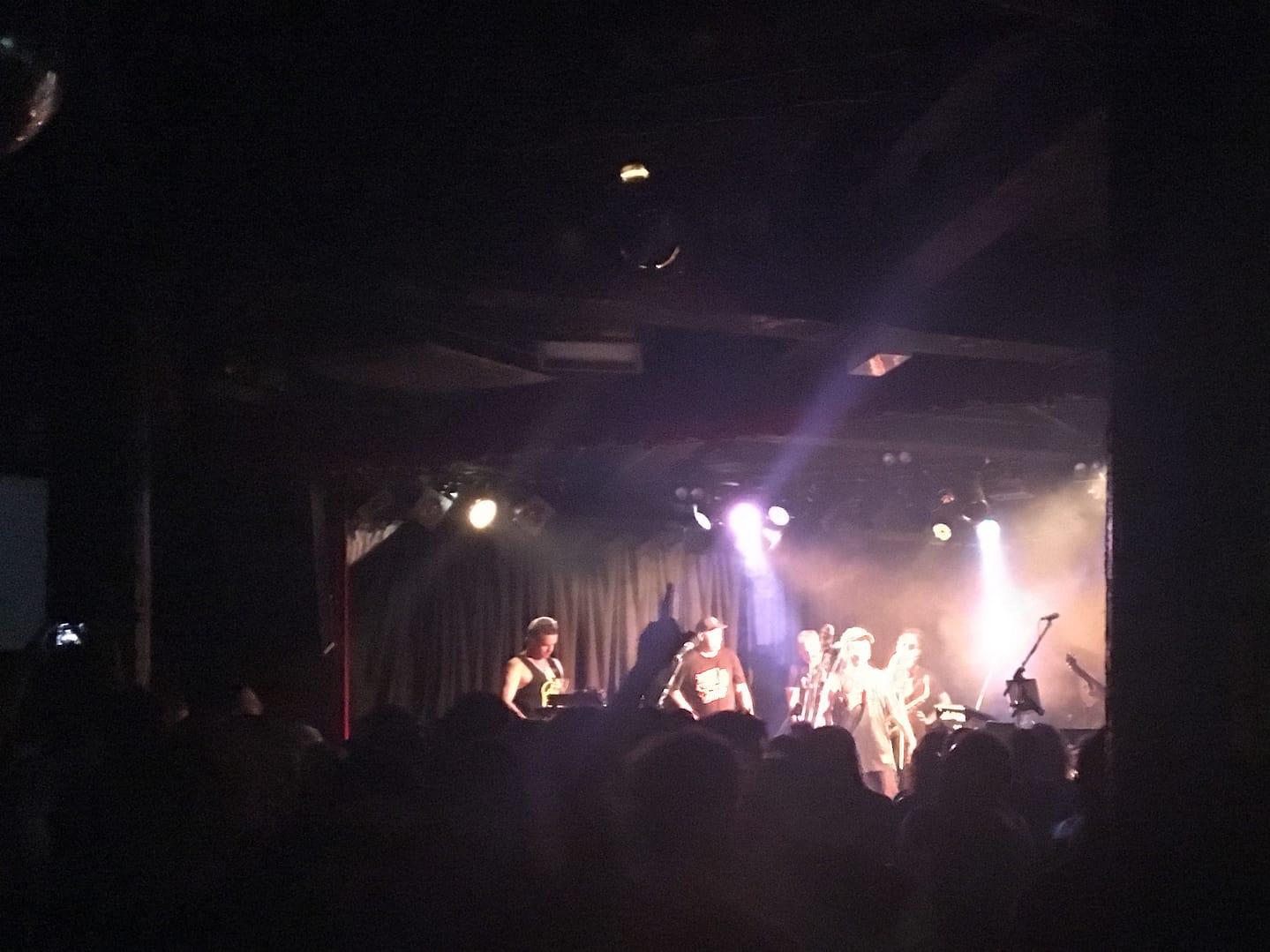 salmonella dub on stage