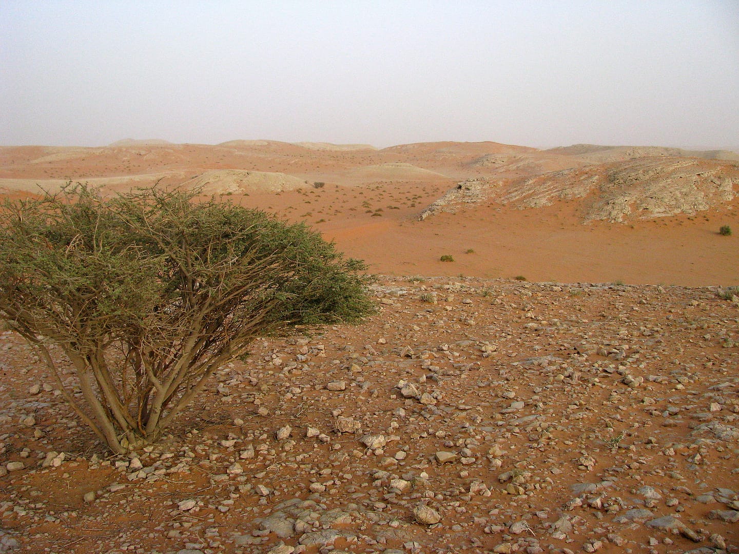 science fiction - the desert, loneliness and barren landscape