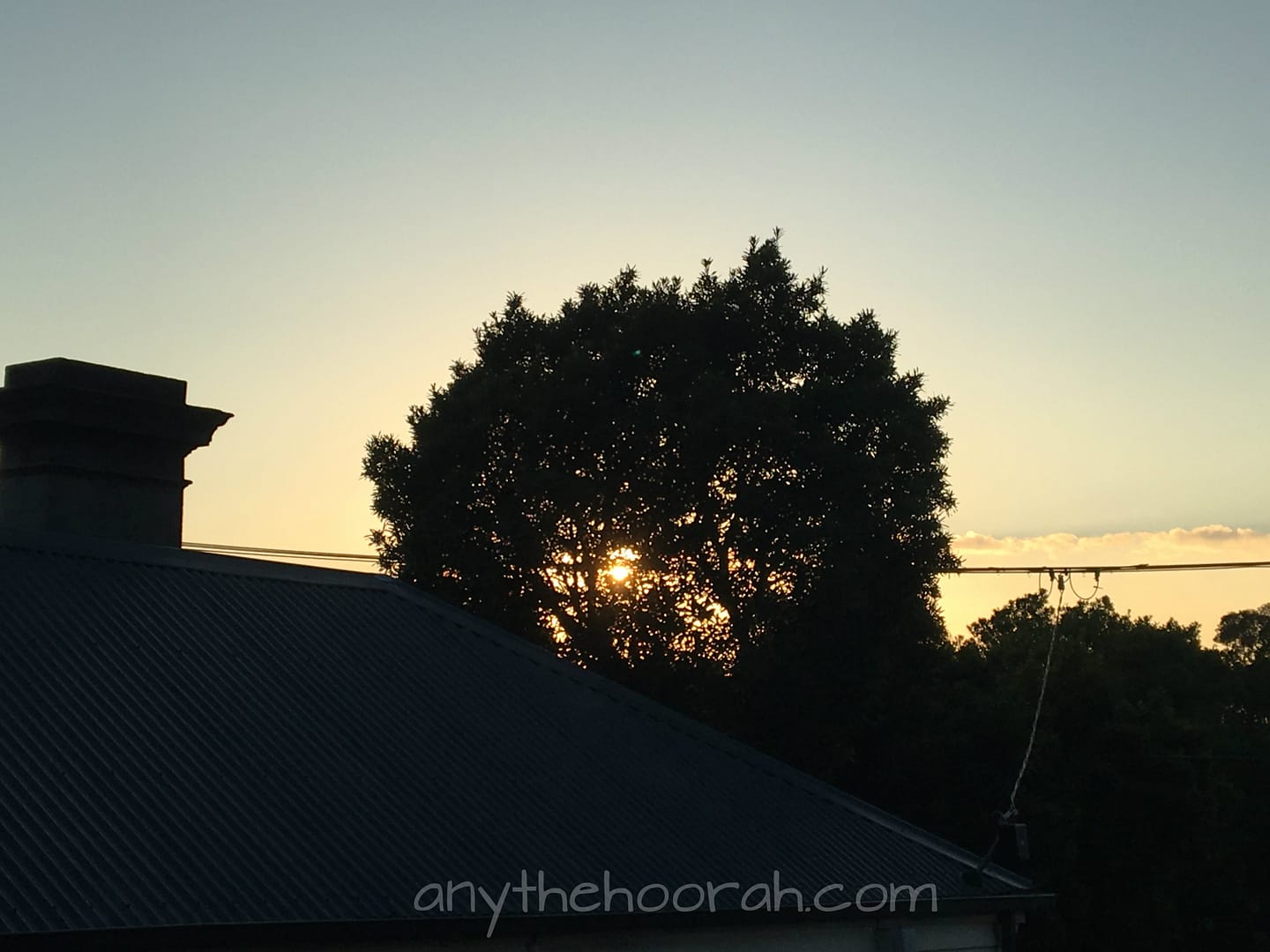 morning sun on a lovely saturday