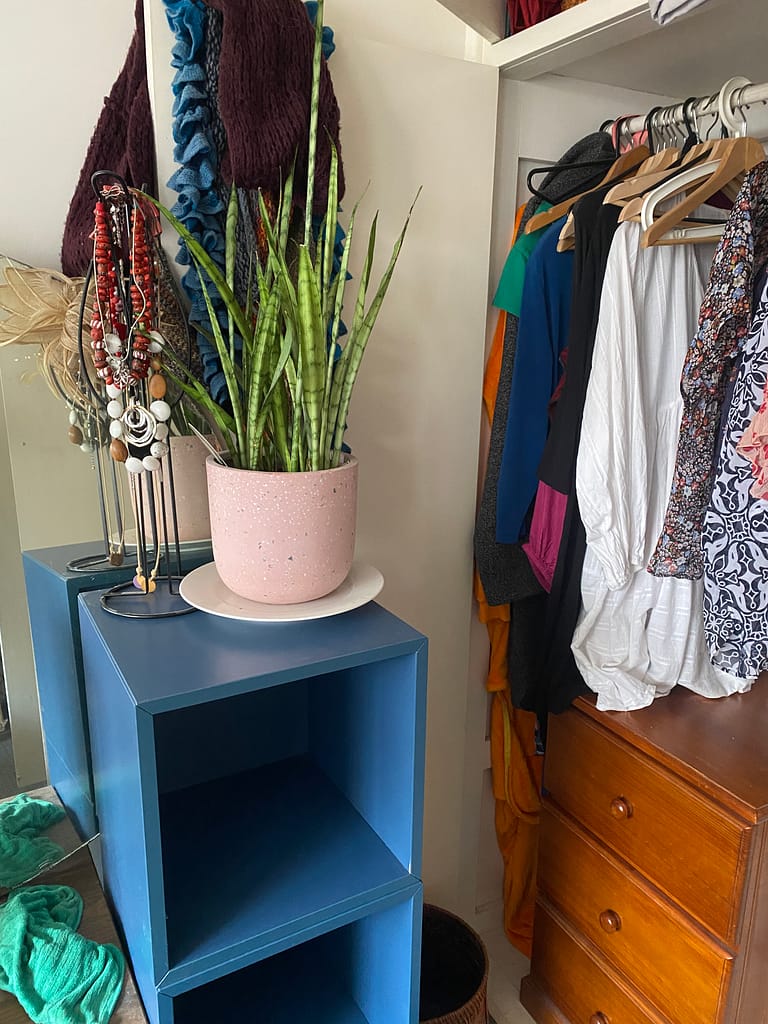 blue cube blocks with mother in law plant and pink pot and found jewellery stand