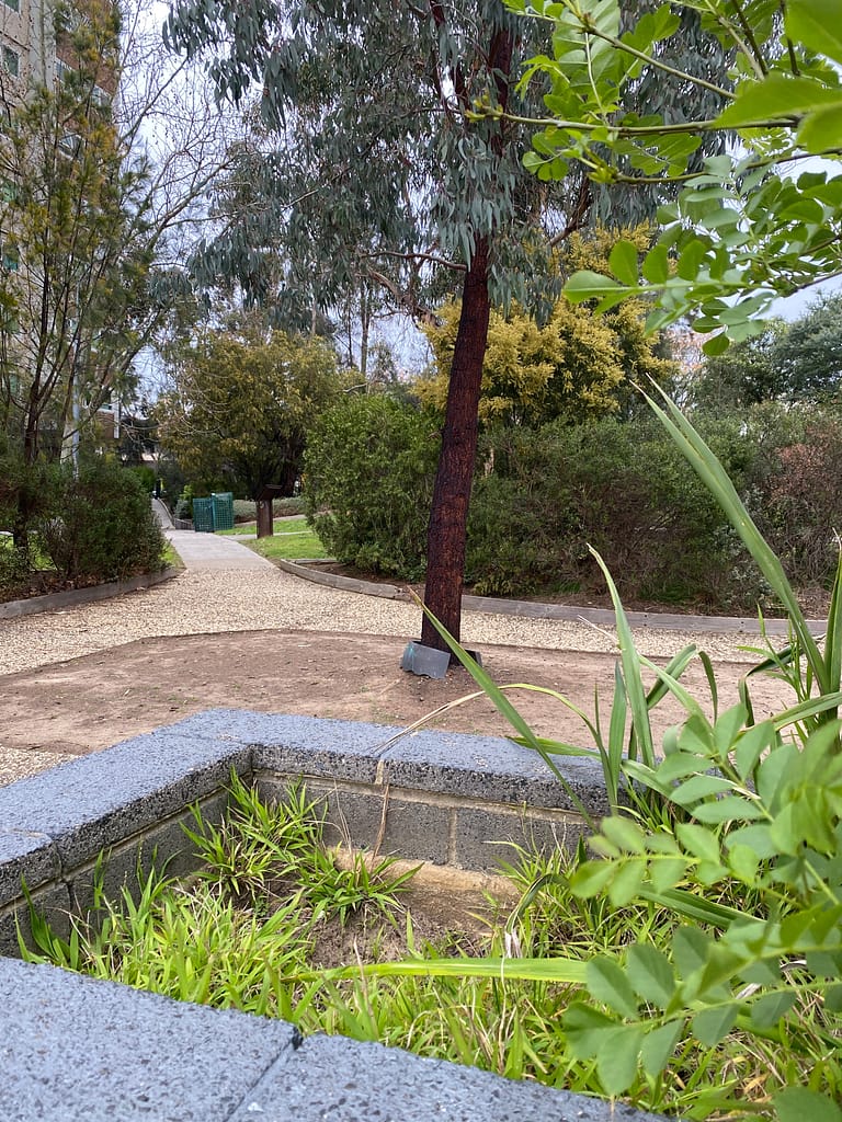 park near social housing towers - gertrude street