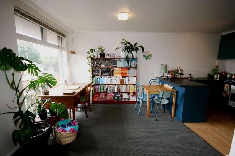 bookcase and plants before I moved in