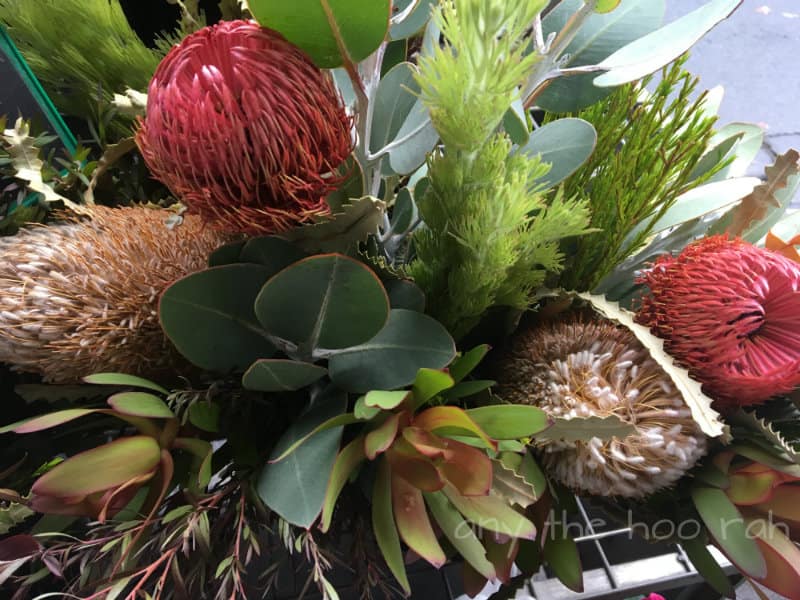 bunch of native flowers and leaves on the street