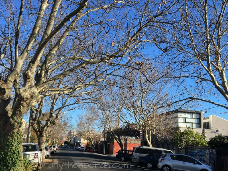 brisk winter air and sunshine on interesting architecture