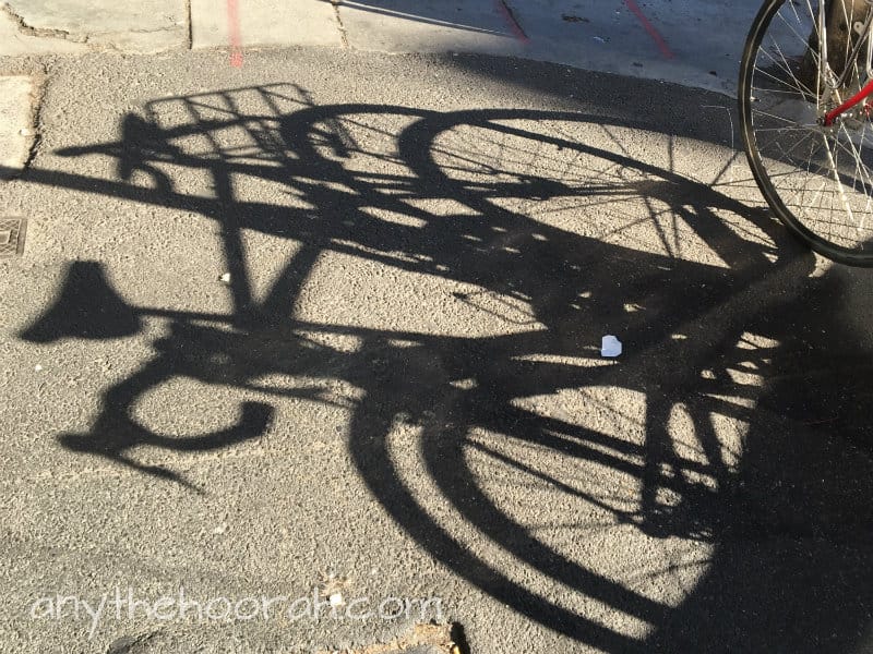 shadows of bikes on a sunny saturday walk