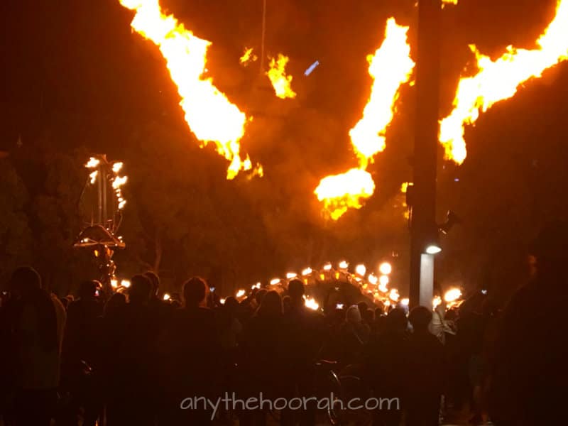 white night melbourne dragon fire light art