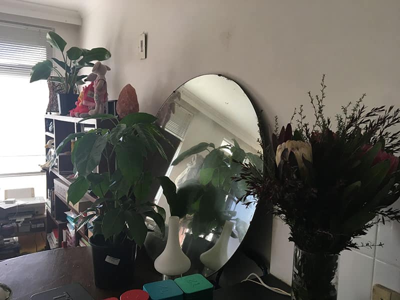 leaves, mirrors, bookshelf, home