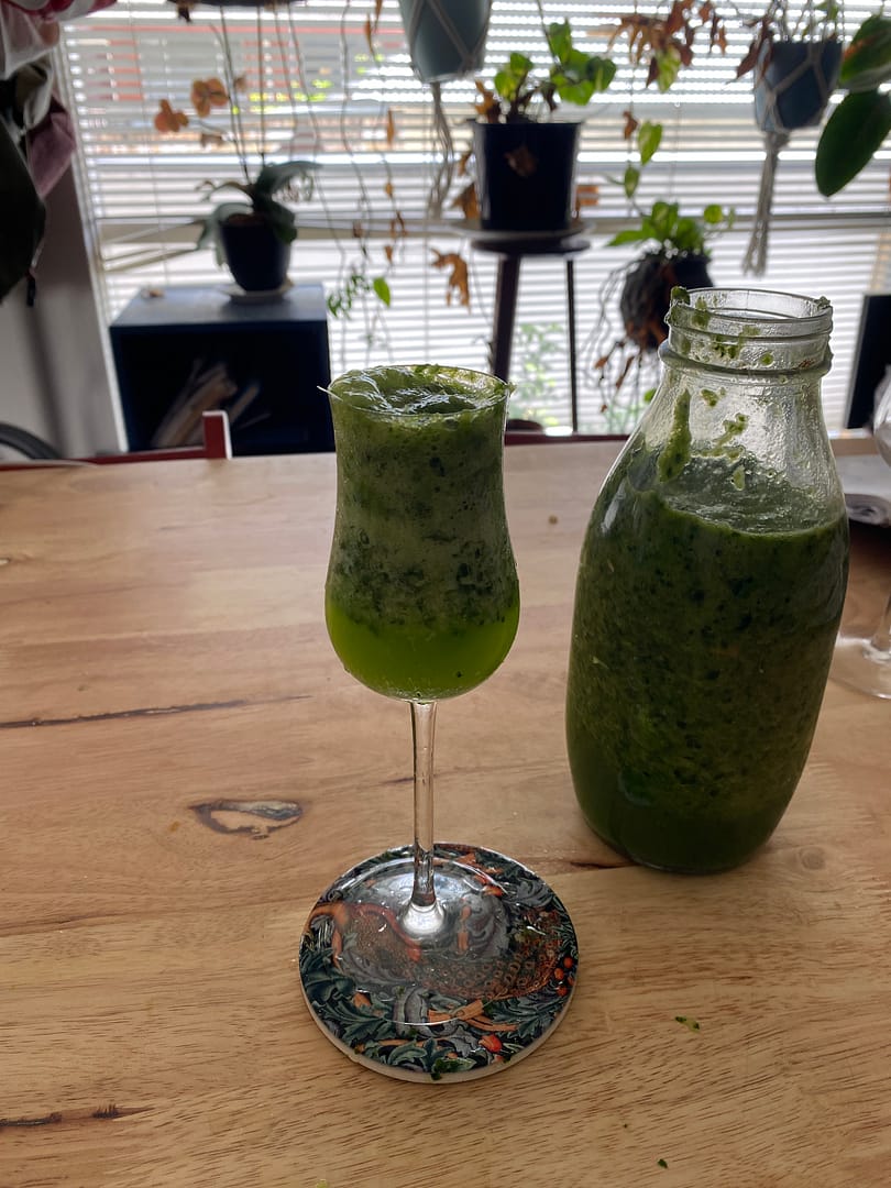 hottest 100 2023 - green mimosas