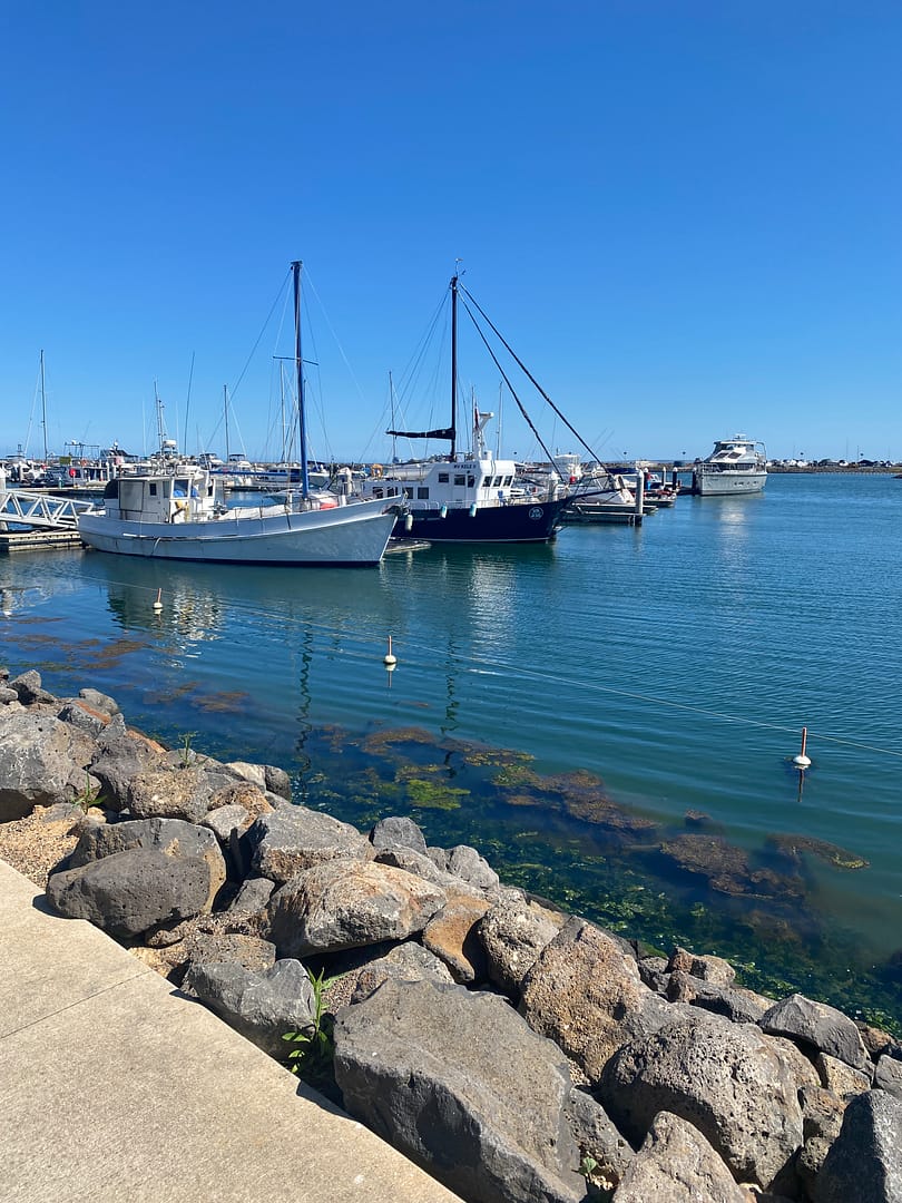 werribee south marina