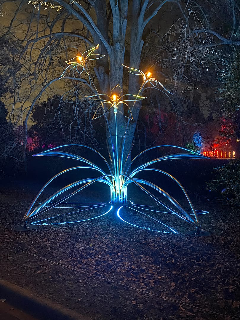 lightscape winter solstice - sarah's photo
